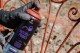 Spray Montana Antioxidante