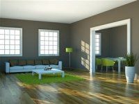 Pinturas Pl&aacute;sticas y monocapas